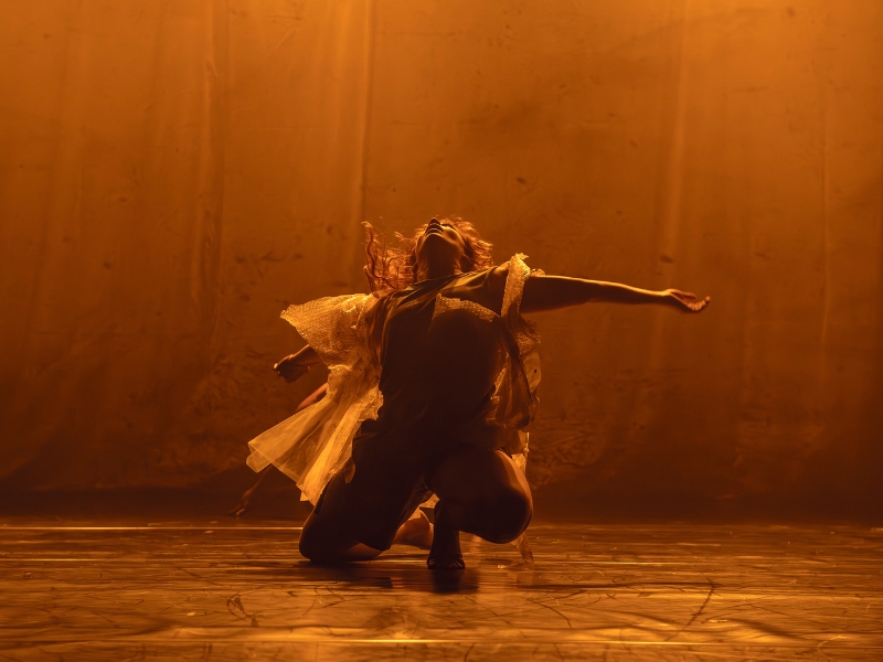 Shire of Broome presents Marrugeku's Cut the Sky